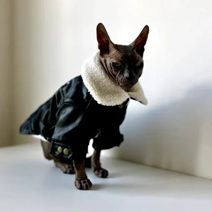 Zateplená kožená bunda pro kočky sphynx