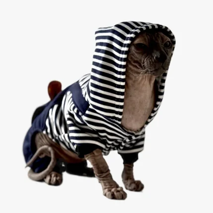 Teplý overal pro kočky sphynx s motivem medvídka