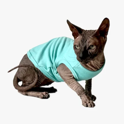 Teplé měkké a prodyšné tílko pro kočky sphynx - tyrkysové