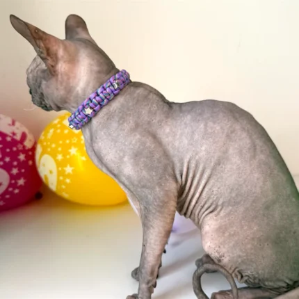 Obojek pro kočky sphynx v provedení - fialová a hvězdy