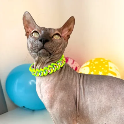 Obojek pro kočky sphynx v provedení - modro zelený copánek