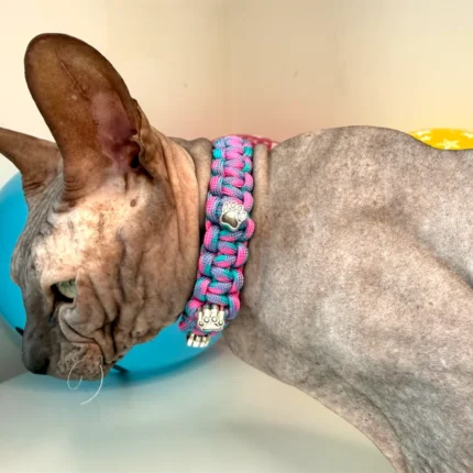 Obojek pro kočky sphynx v provedení - růžovo fialová a tlapky