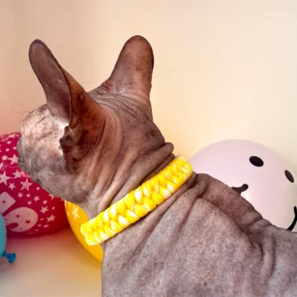 Obojek pro kočky sphynx v provedení - žluto bílá