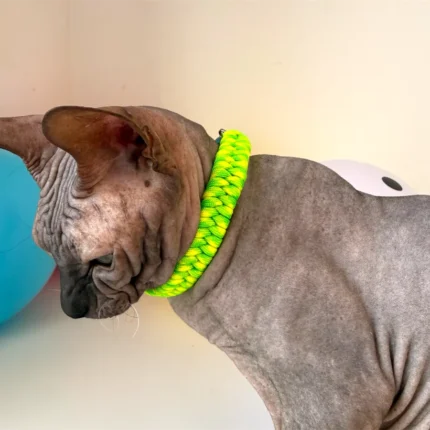 Obojek pro kočky sphynx v provedení - žluto zelený copánek