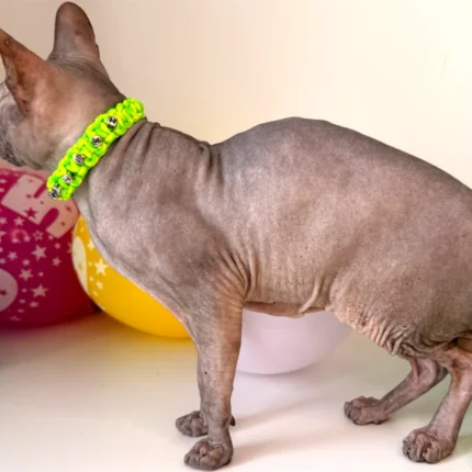 Obojek pro kočky sphynx v provedení - žluto zelená Mysticool