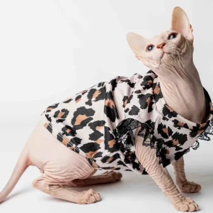Pohodlná domácí košilka s krajkou pro kočky sphynx