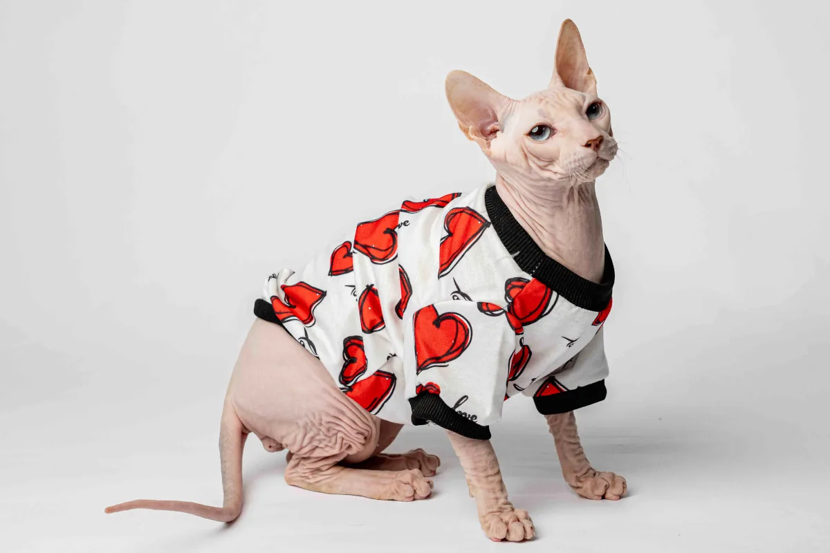 Lehká domácí mikina „Valentýnka“ pro kočky sphynx Lehká domácí mikina „Valentýnka“ pro kočky sphynx