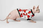 Lehká domácí mikina „Valentýnka“ pro kočky sphynx
