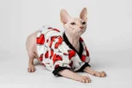 Lehká domácí mikina „Valentýnka“ pro kočky sphynx