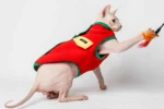 Extra hřejivá fleecová vesta pro kočky sphynx červená