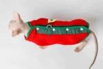 Extra hřejivá fleecová vesta pro kočky sphynx červená