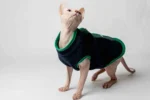 Extra hřejivá fleecová vesta pro kočky sphynx modrá