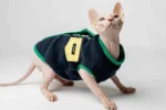Extra hřejivá fleecová vesta pro kočky sphynx modrá