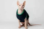Extra hřejivá fleecová vesta pro kočky sphynx modrá