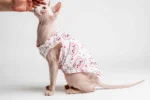 Lehké domácí úpletové tílko pro kočky sphynx bílé s prasátky