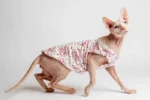 Lehké domácí úpletové tílko pro kočky sphynx bílé s prasátky