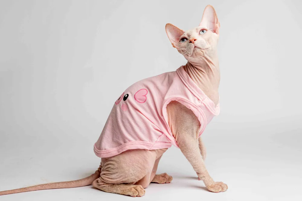 Lehké domácí úpletové tílko pro kočky sphynx „Prasátko“ Lehké domácí úpletové tílko pro kočky sphynx „Prasátko“