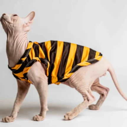 Lehké domácí úpletové tílko pro kočky sphynx s žluto-hnědými pruhy