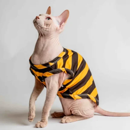 Lehké domácí úpletové tílko pro kočky sphynx s žluto-hnědými pruhy