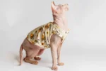 Lehké domácí úpletové tílko pro kočky sphynx „Včelky“