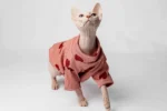 Lehký rolák z chladivého materiálu pro kočky sphynx růžový se srdíčky
