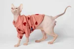 Lehký rolák z chladivého materiálu pro kočky sphynx růžový se srdíčky