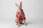 Lehký rolák z chladivého materiálu pro kočky sphynx růžový se srdíčky