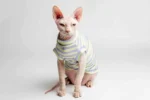 Lehký chladivý rolák pro kočky sphynx s limetkovo-fialovými proužky