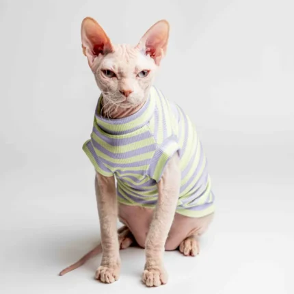 Lehký chladivý rolák pro kočky sphynx s limetkovo-fialovými proužky