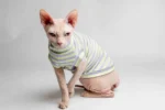 Lehký chladivý rolák pro kočky sphynx s limetkovo-fialovými proužky