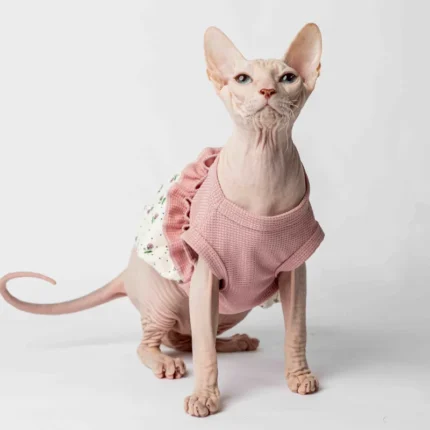 Letní stylové šaty pro kočičí slečny plemene sphynx růžové