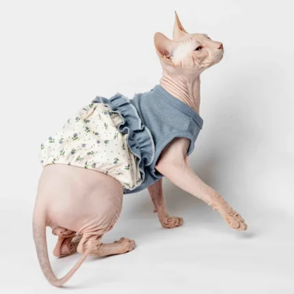 Letní stylové šaty pro kočičí slečny plemene sphynx