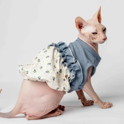 Letní stylové šaty pro kočičí slečny plemene sphynx