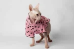 Jemná a prodyšná noční košilka pro kočky sphynx růžová se srdíčky