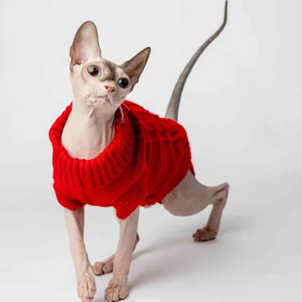 Svetr s rolákem pro kočky sphynx červený