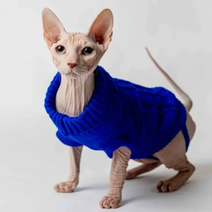 Svetr s rolákem pro kočky sphynx nebesky modrý