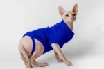 Svetr s rolákem pro kočky sphynx nebesky modrý