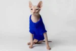 Svetr s rolákem pro kočky sphynx nebesky modrý