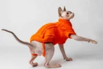 Svetr s rolákem pro kočky sphynx oranžový