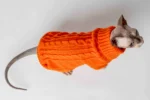 Svetr s rolákem pro kočky sphynx oranžový