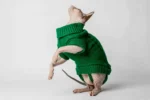 Svetr s rolákem pro kočky sphynx zelený