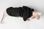 Teplá mikina „Srdce“ pro kočky sphynx černá