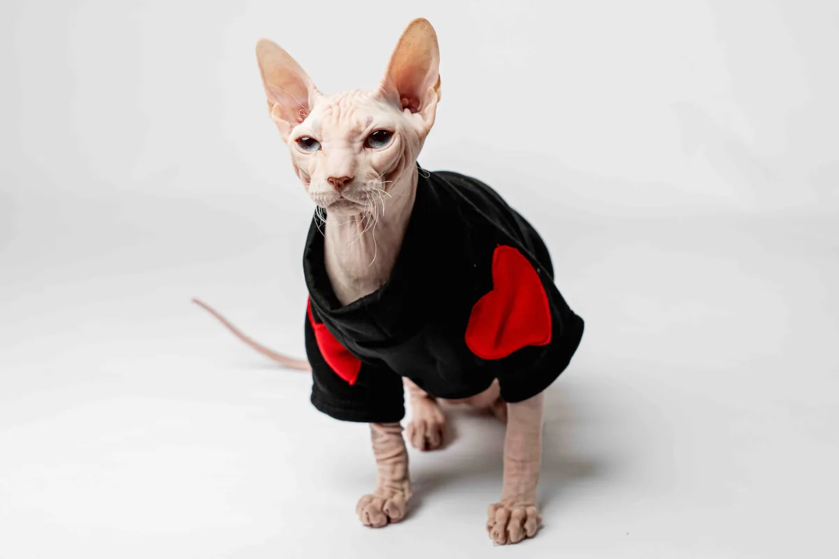 Teplá mikina „Srdce“ pro kočky sphynx černá Teplá mikina „Srdce“ pro kočky sphynx černá