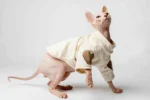 Teplá mikina „Srdce“ pro kočky sphynx krémová