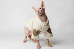 Teplá mikina „Srdce“ pro kočky sphynx krémová