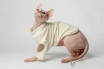 Teplá mikina „Srdce“ pro kočky sphynx krémová