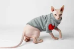 Teplá mikina „Srdce“ pro kočky sphynx šedá