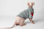 Teplá mikina „Srdce“ pro kočky sphynx šedá