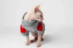 Teplá mikina „Srdce“ pro kočky sphynx šedá