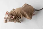 Teplá mikina „Srdce“ pro kočky sphynx světle hnědá